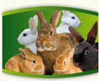 Konijnenkorrel Sport 20kg € 20.00